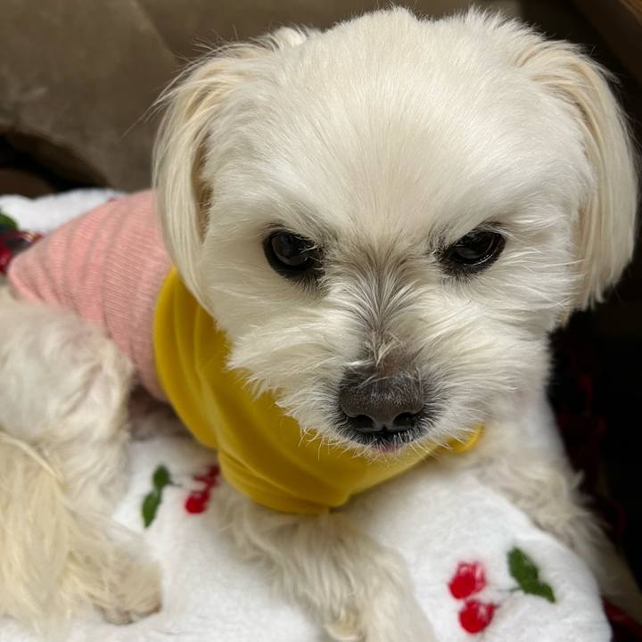 B78eb0b6 dbaa 4f7e b883 50358c5411a1 1677847674701