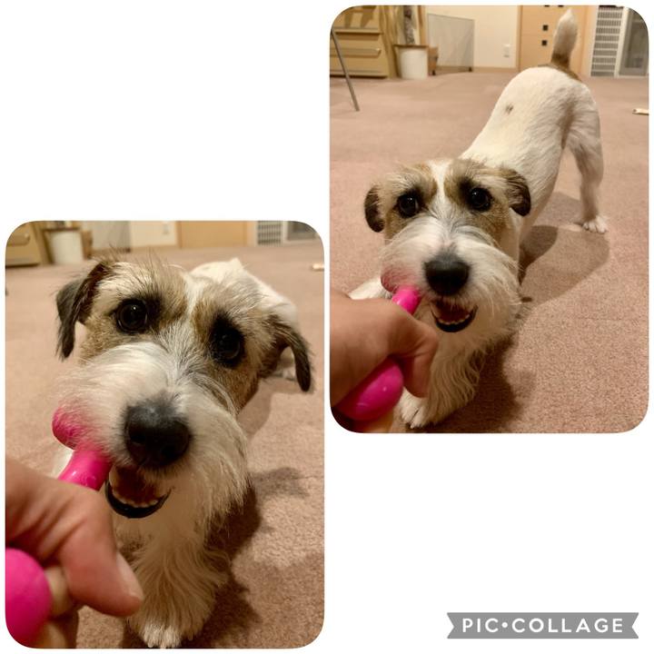 B78ed373 fcbf 4801 8781 62c7f08cf0b6 1629806587237