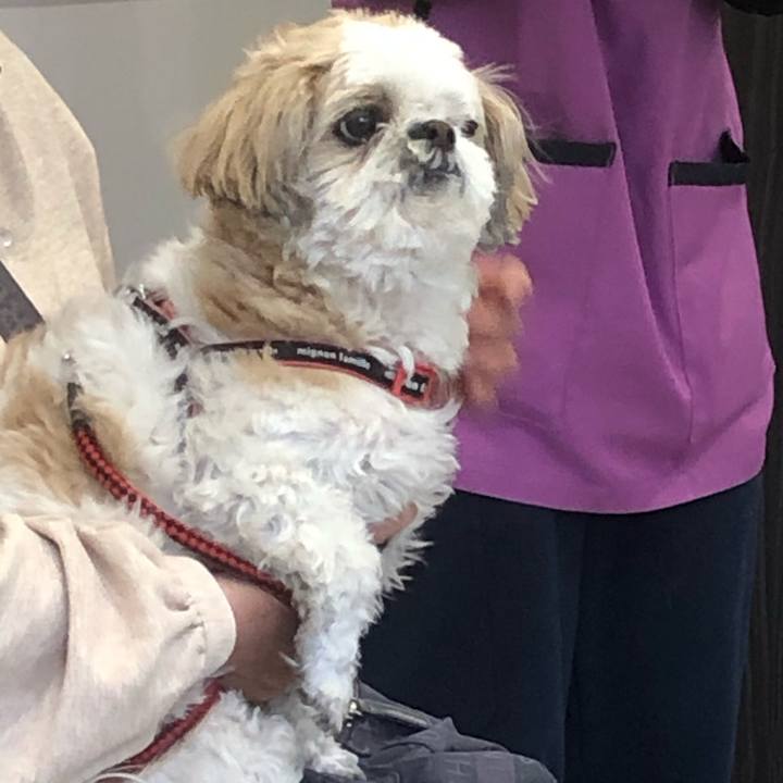 B78f7198 ef97 4236 bec7 3c7660d73a62 1619387098370