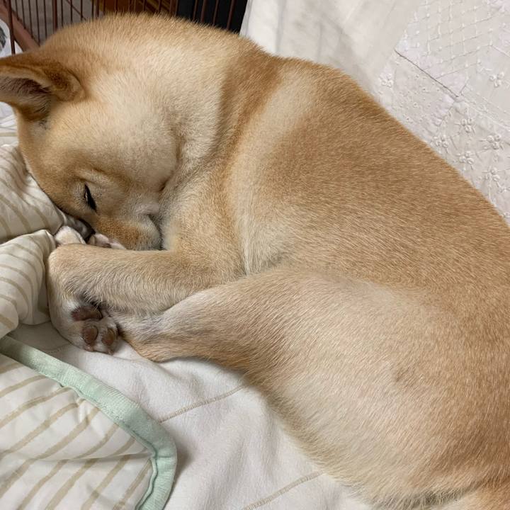 B78fa99e 2b5f 43f3 8718 a21b2d22fcaf 1633067311770