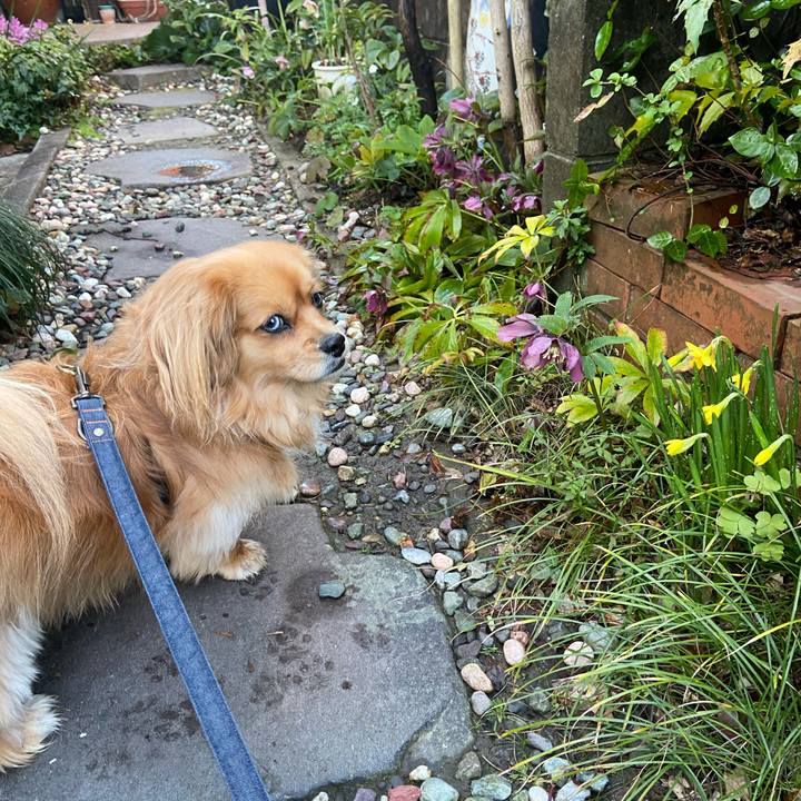 B78febbd ff08 44e4 bd6c c001e61e3a1d 1583706090664