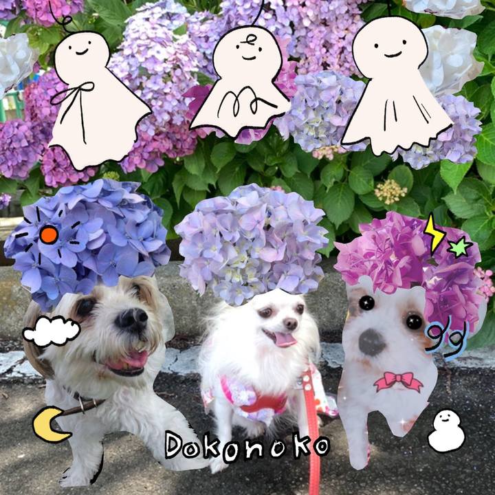 B7905af4 5727 4425 8873 0d999a5c1194 1749259952408