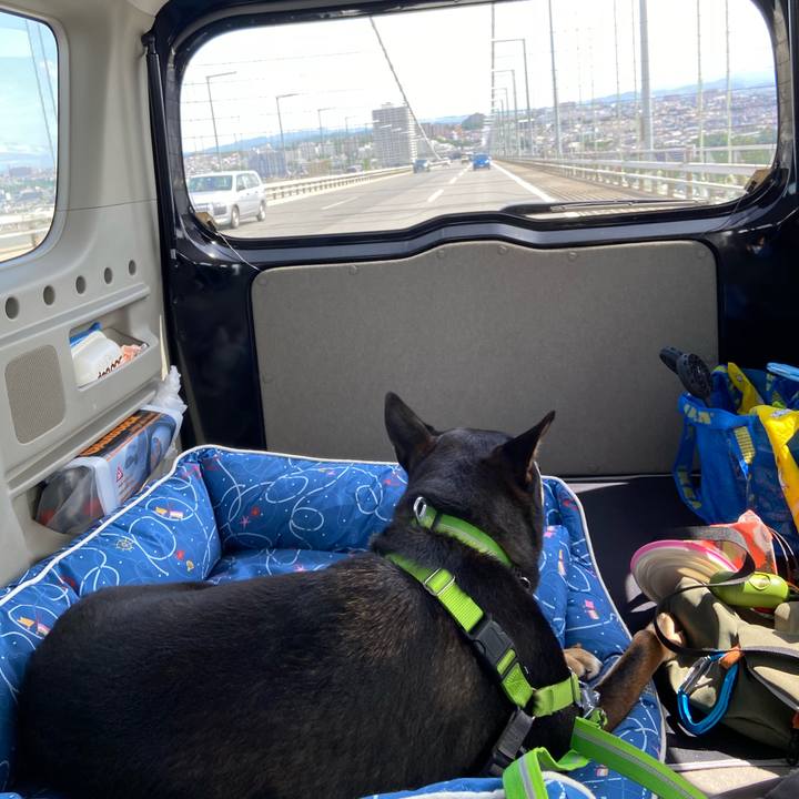 B7906317 8e7c 4e10 bb3b 41436ceef21d 1592626109621