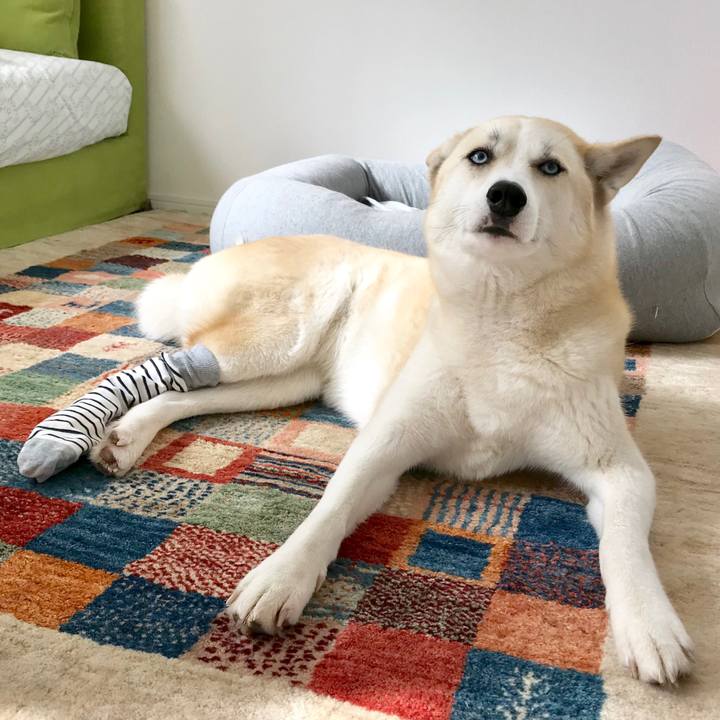 B7906cf9 6d40 42e8 a49f 30a8833dbed2 1517969130396