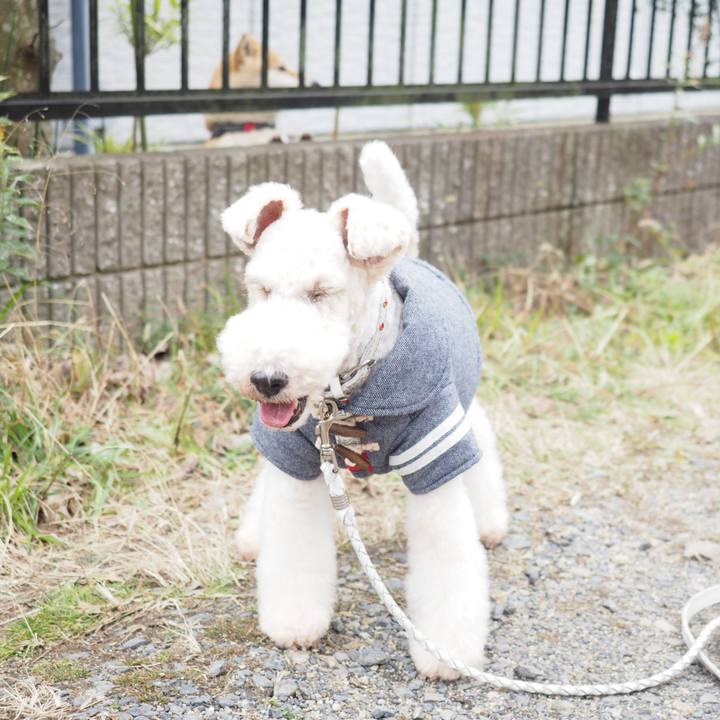 B7907df5 ee9d 42e5 beb5 53f56a6eece7 1580819377962