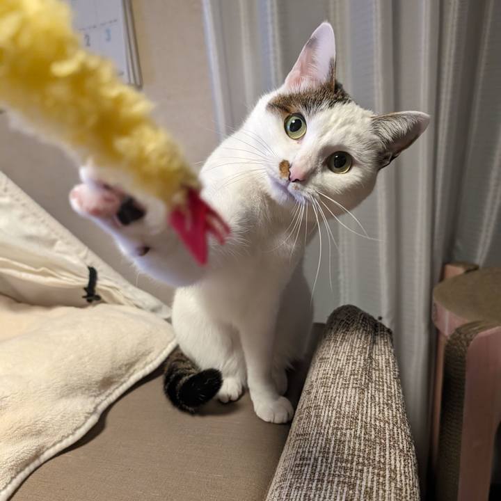 B79094ef cd69 47f2 9595 5da20cede1c9 1705588289964