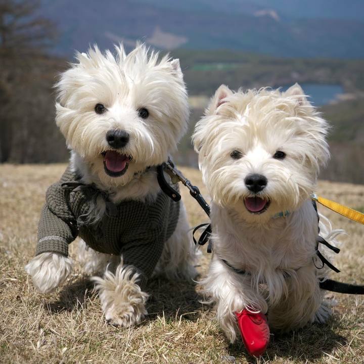 B7909f48 27a5 444c af86 2597dae4d155 1525234625061