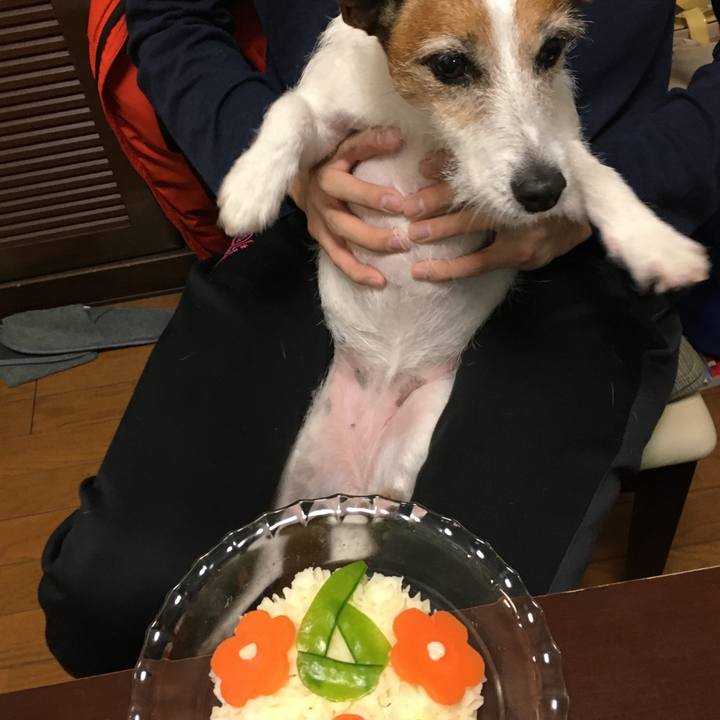 B790b39b b717 441f af9c 12d1f28a6b34 1577931302870