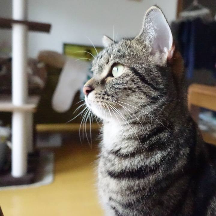 B790e649 4945 4124 aabd 8e86503c3370 1566875934132