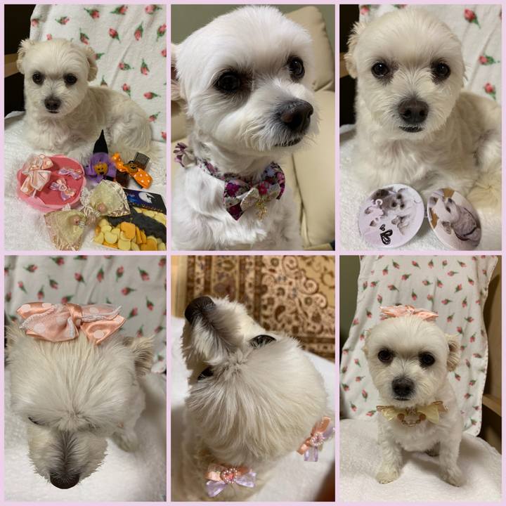 B7910e0f c3d3 411b abd9 b85e1c61d7f0 1634522214469