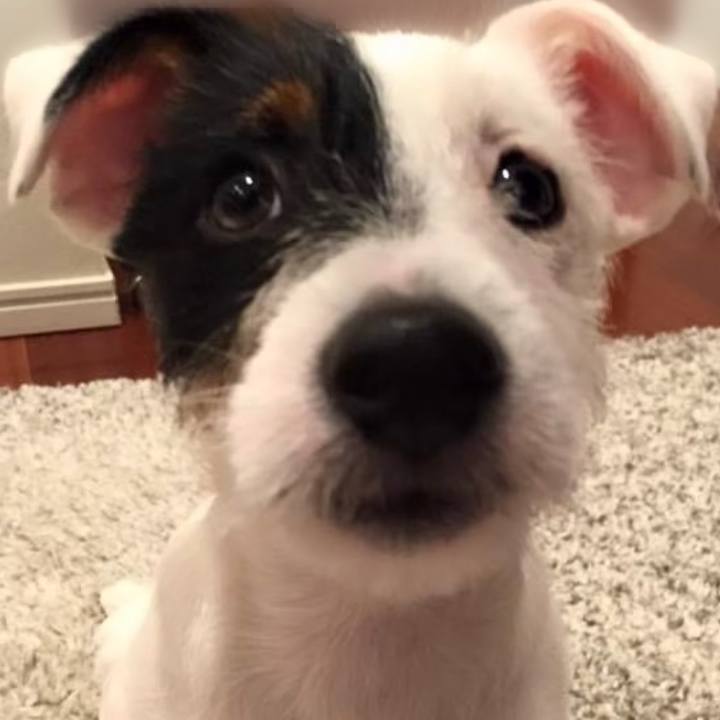 B7913d86 dd56 49bd 9822 140c60cb7a55 1756818579784