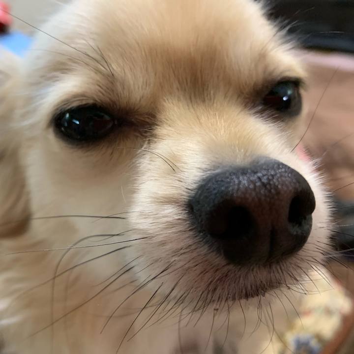 B7917256 c191 4fcf a38f 157ddf9c218d 1546558107760