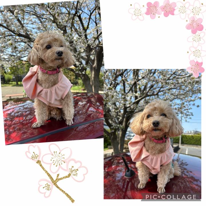 B79182b9 50a0 4885 8e35 80db14bea93f 1759021515356