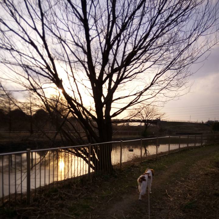 B7918989 e2e1 41a0 a5d2 550172194e6a 1520770264463