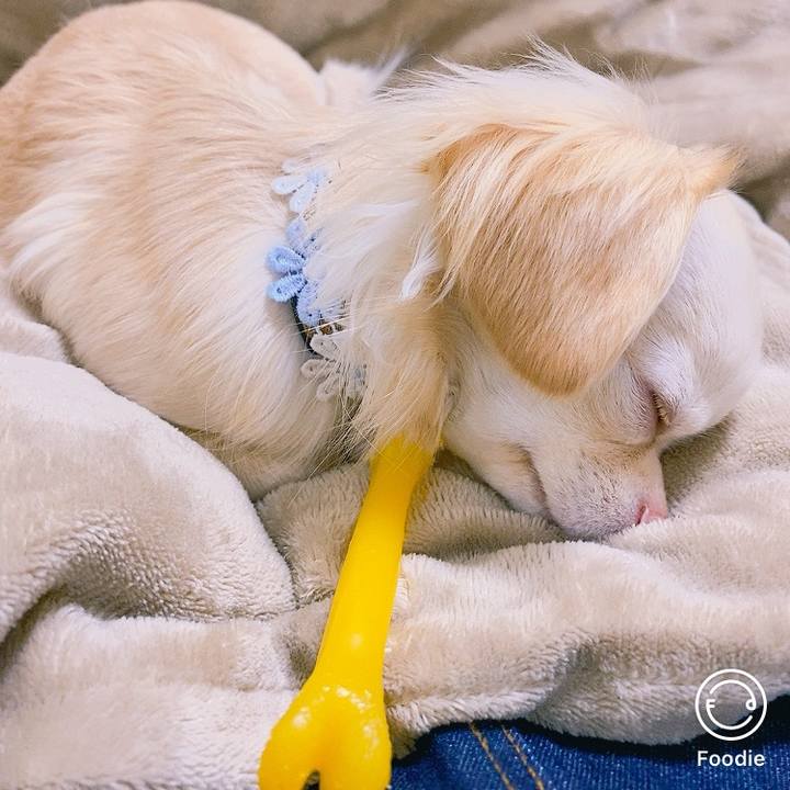 B791c60d 5a3f 4080 8226 e555cf1e51f2 1613470618879