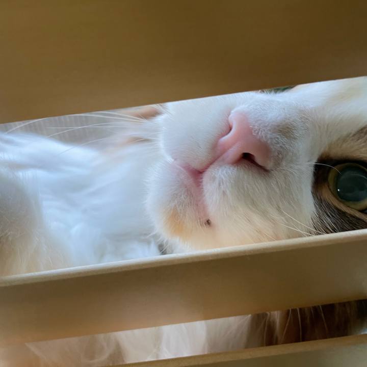 B791c97b 227a 44ca aff0 f67c1e1b74d0 1680037563322