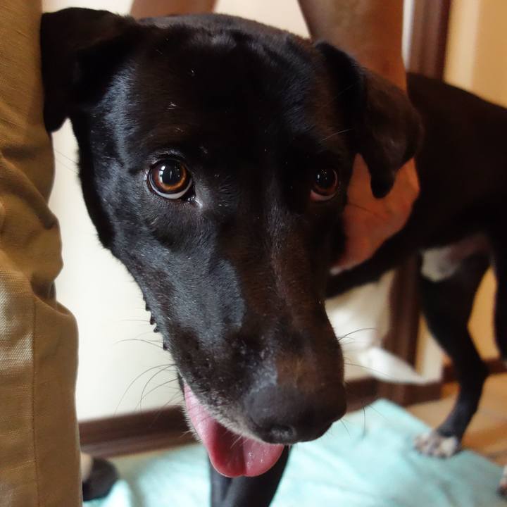 B791d51d d730 4b5c 9242 4cf2b95de190 1595205014621