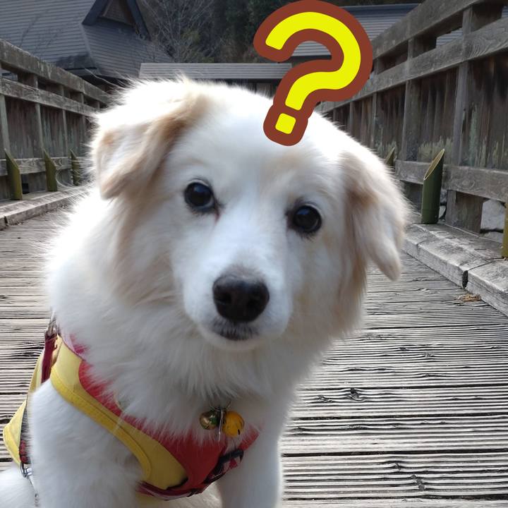 B791e5a9 6726 4538 83f8 c67a8aa8d7cb 1656586053493