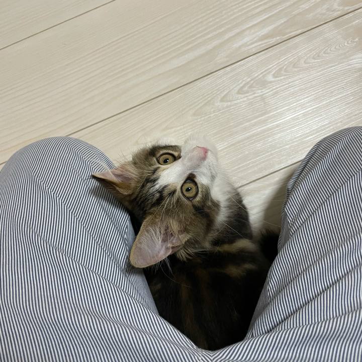 B791fb2d 2365 4ec8 b522 fe7e51084cb6 1633119928193