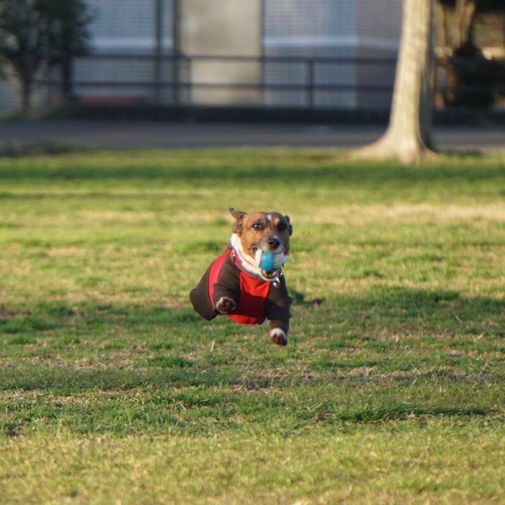 B7924bb9 fca3 4eca 9801 8ecc33c8385c 1552001610194