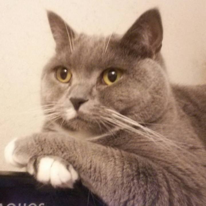 B7924d77 bf21 4754 8cad 421791c76bbe 1580097009756