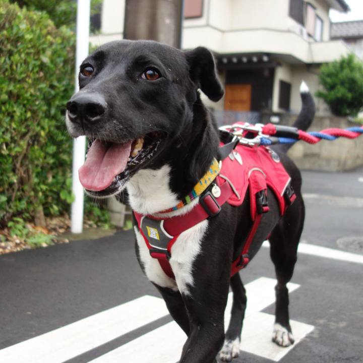 B7925331 908d 4728 85f0 325947f8aff6 1591059221815