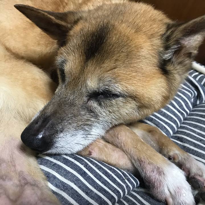 B79258df 2cfe 4f0a 9bd6 6ea2697e2a40 1565844530328