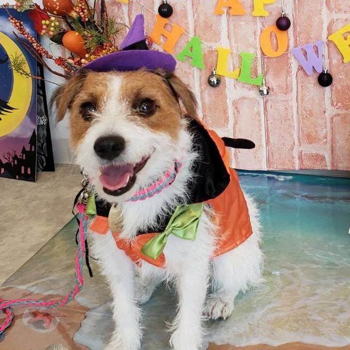 B792624d de56 4e49 971f 9de958927f3c 1572484356677