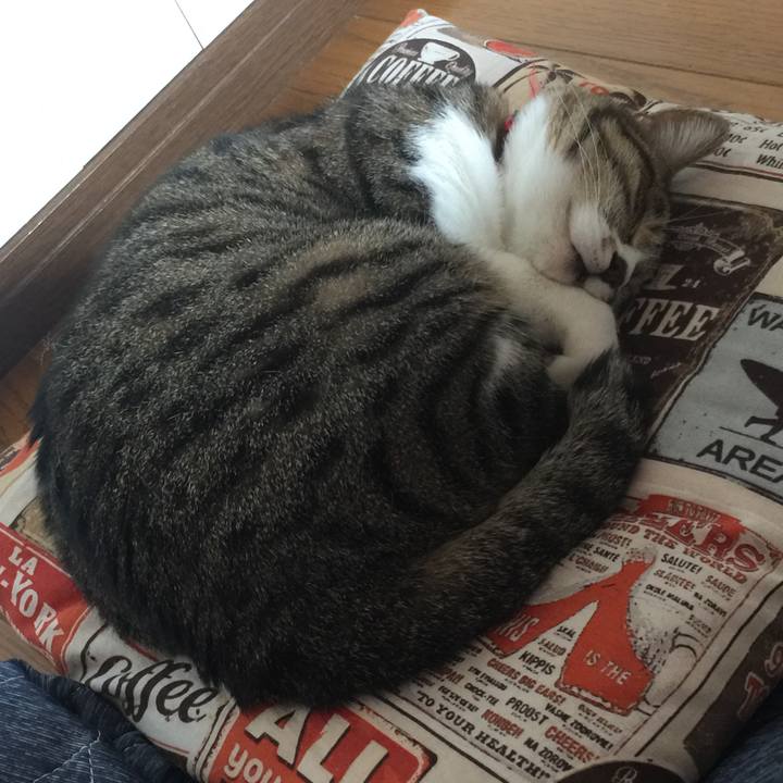 B7928833 b4d6 4b32 9e3a c23254996577 1557102671561