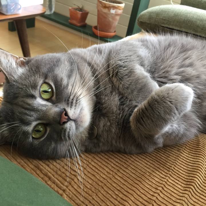 B7929747 ced7 4a12 ade5 240db74eb992 1597610569752