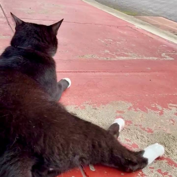 B792a0be 516a 42e8 939e b2fb90831a7a 1750039375029