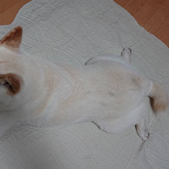 B792a8a9 0809 49f7 aa4e 87bbf020c5b0 1588934449927