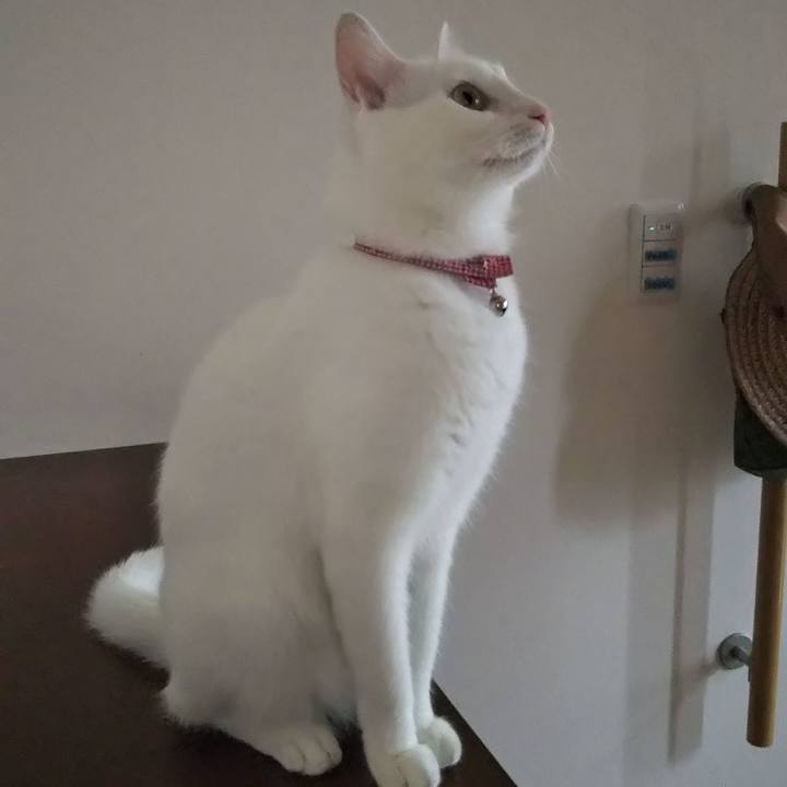 B792ab34 4b5a 4d1d 9ba6 c363906e810e 1625524345053