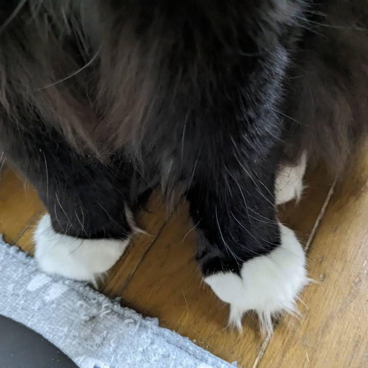 B792ba6a 1b54 4ba3 b72b 614595b26314 1706331833850