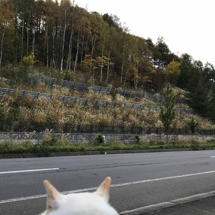 B792bb80 de2f 44be 9c91 948552974d42 1540296040182