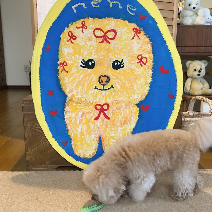 B792c705 a114 440a 9fea e7c624e6a076 1528610295428