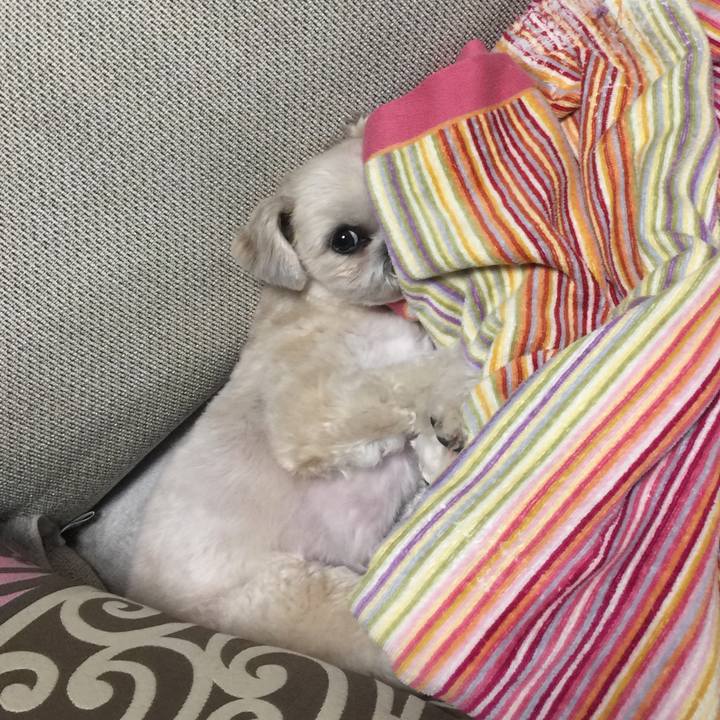 B792cffd 5a6e 40ed bdd9 7d04b655ed9d 1522752325896