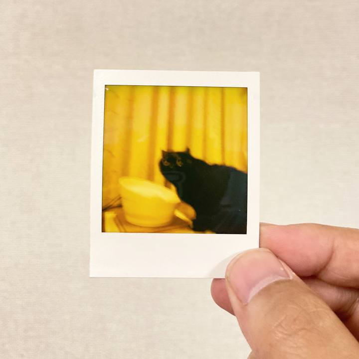 B792e803 9e9c 449b 88dc 8ddf1469347b 1621784258517