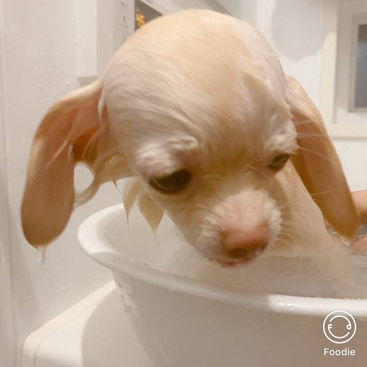 B792fba7 188d 40f6 9055 9a146de77ce3 1608028589234