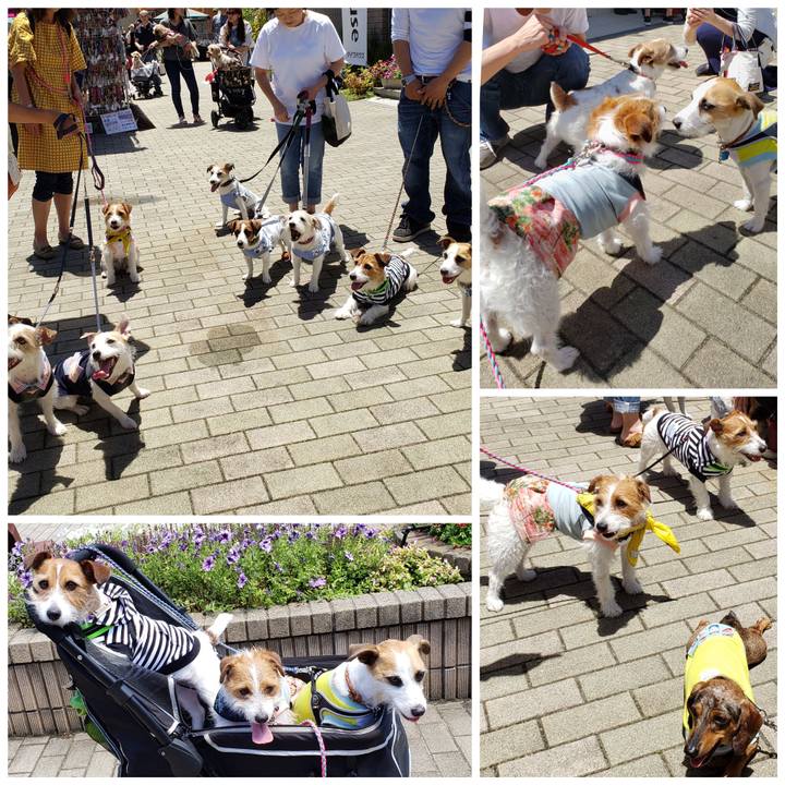 B79304a1 a95b 4ca1 9831 2a3f80096a47 1560683096433