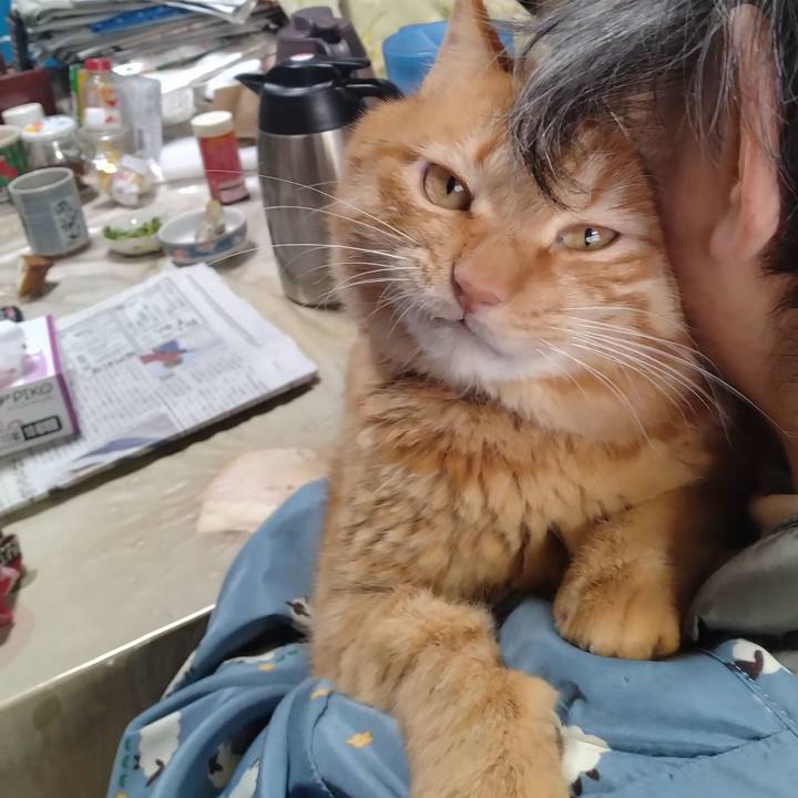 B7935d4b 263f 4113 a693 20a58b0895be 1706167348303