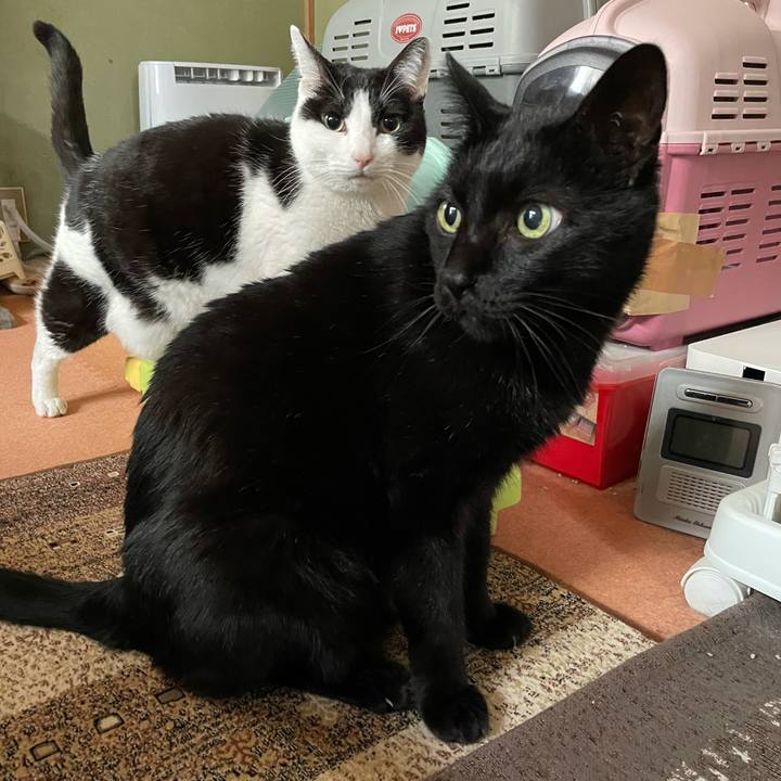 B7937ba4 4840 44d6 93aa 5982312b611f 1611280305363