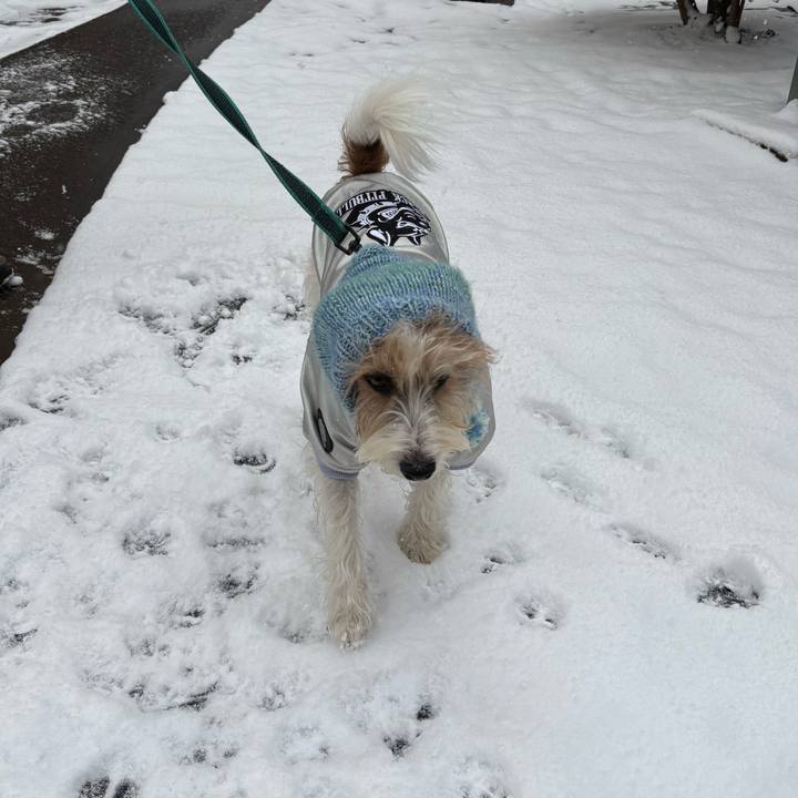 B7938ee5 1cab 4d30 80bf b852b18faaaf 1770529183226