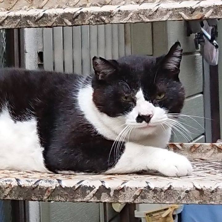 B79394b4 bd4b 4ae2 8892 d8e83a420352 1658133812356