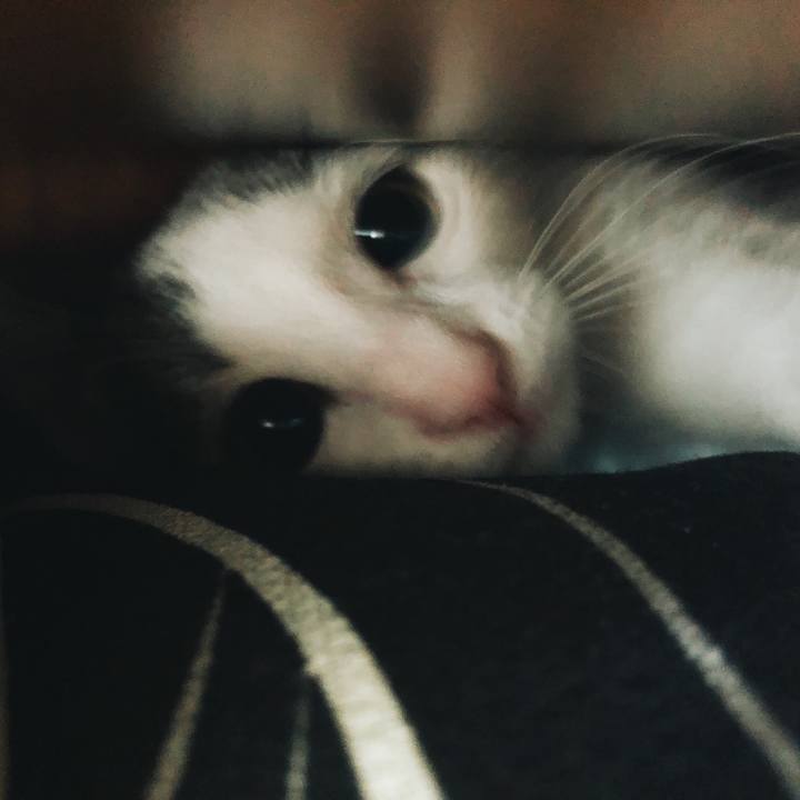 B79399bb 0ea1 489e a46a b0526a1013d2 1562457477098