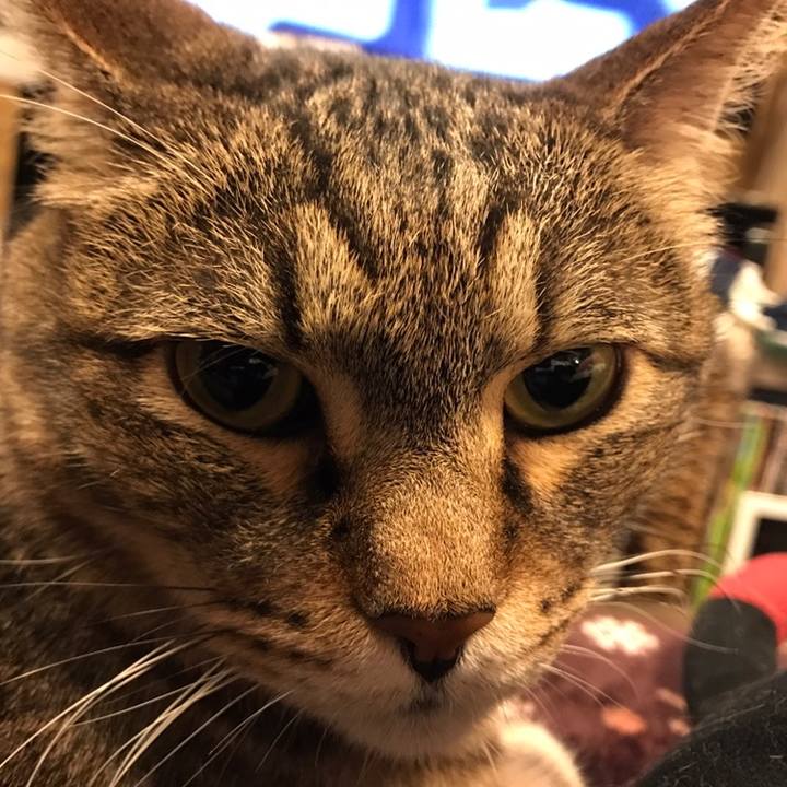 B793a71f 8651 4cae a2cc 4cb43d6caa1c 1558526926129