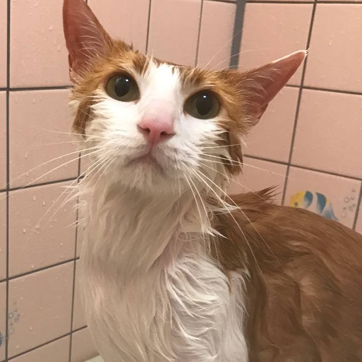 B793dbeb 374d 49b4 8562 eb3326eb660c 1529130887857