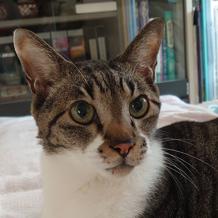 B793e7d7 332e 421b b0fc a69ed3e12126 1733620800044