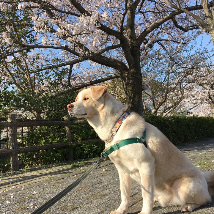 B793fdb0 bbc7 4798 83da f29b78f308f9 1522330717037