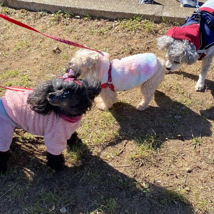 B7942071 c482 4afc b29c 428a2b2da1fe 1677292484519